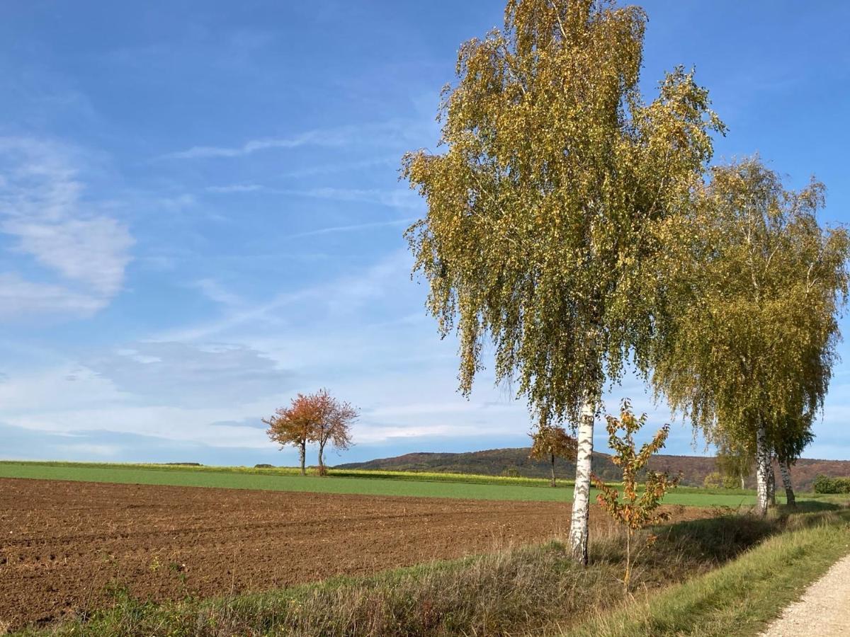 Ferienwohnung Franken Hallerndorf Екстериор снимка