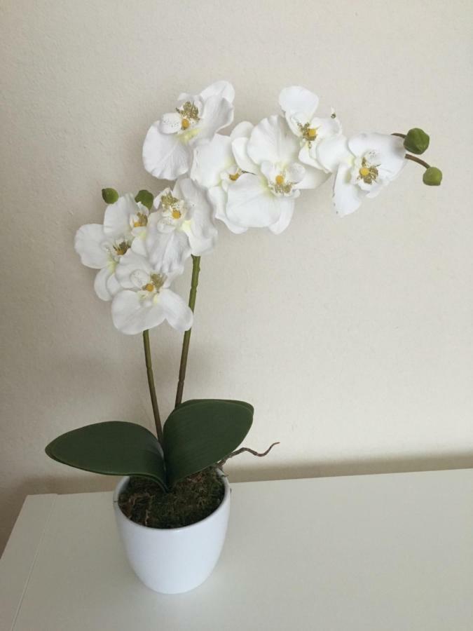 Ferienwohnung Franken Hallerndorf Екстериор снимка